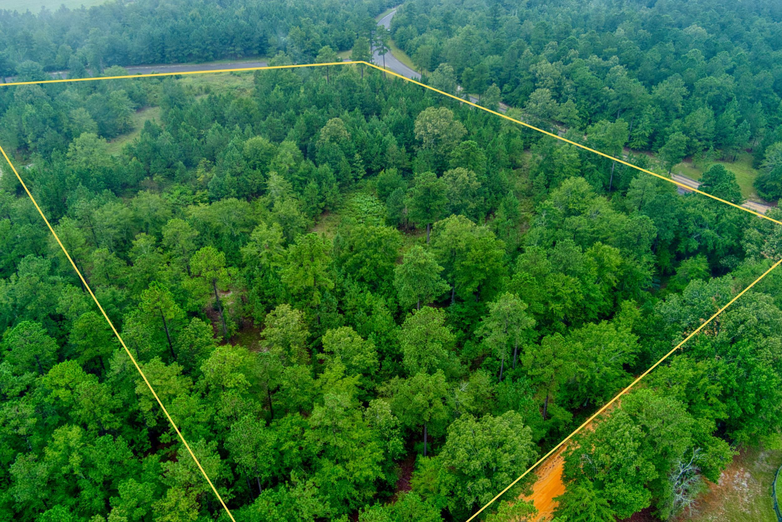 Lot 5 Cooks Pond Road Windsor, SC 29856 - Photo 4 of 23