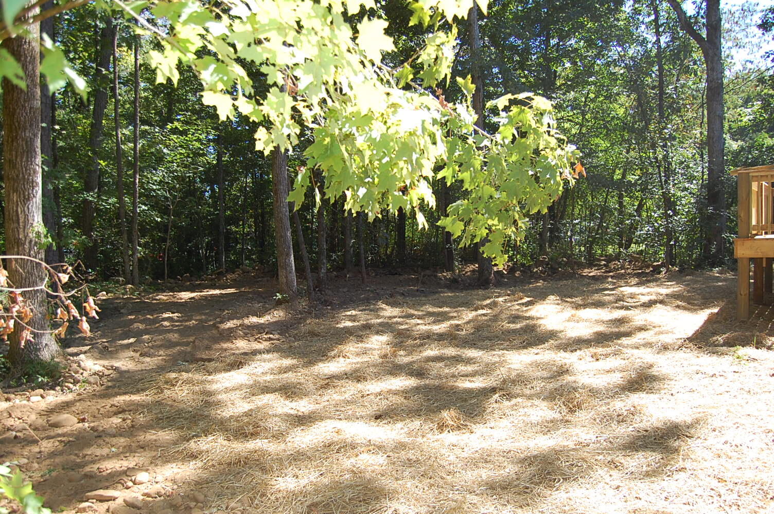70 Maple Street Dunlap, TN 37327 - Photo 10 of 23 DSC_0009
