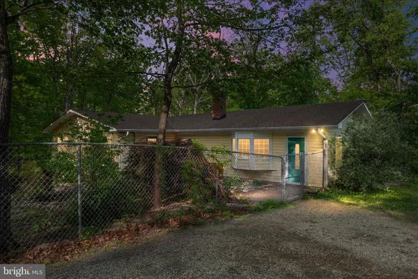 a view of backyard with wooden fence and a large tree