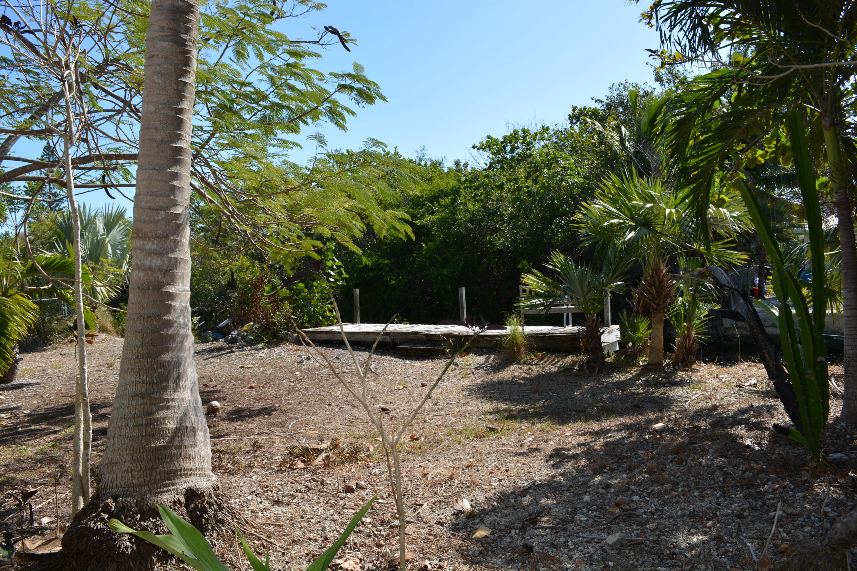 3863 George Road Big Pine Key, FL 33043 - Photo 33 of 42 Back Yard