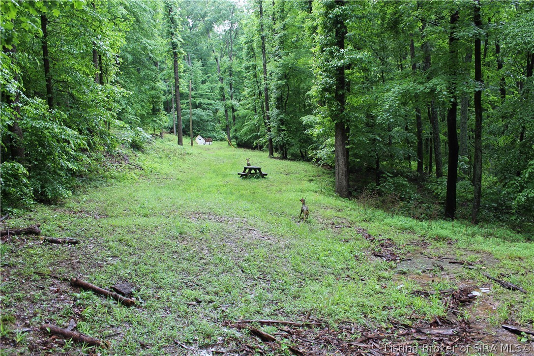 1309 South Benham Mill Road English, IN 47118 - Photo 41 of 46