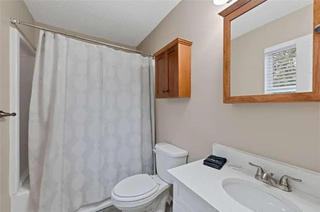 a bathroom with a sink a toilet and shower curtain