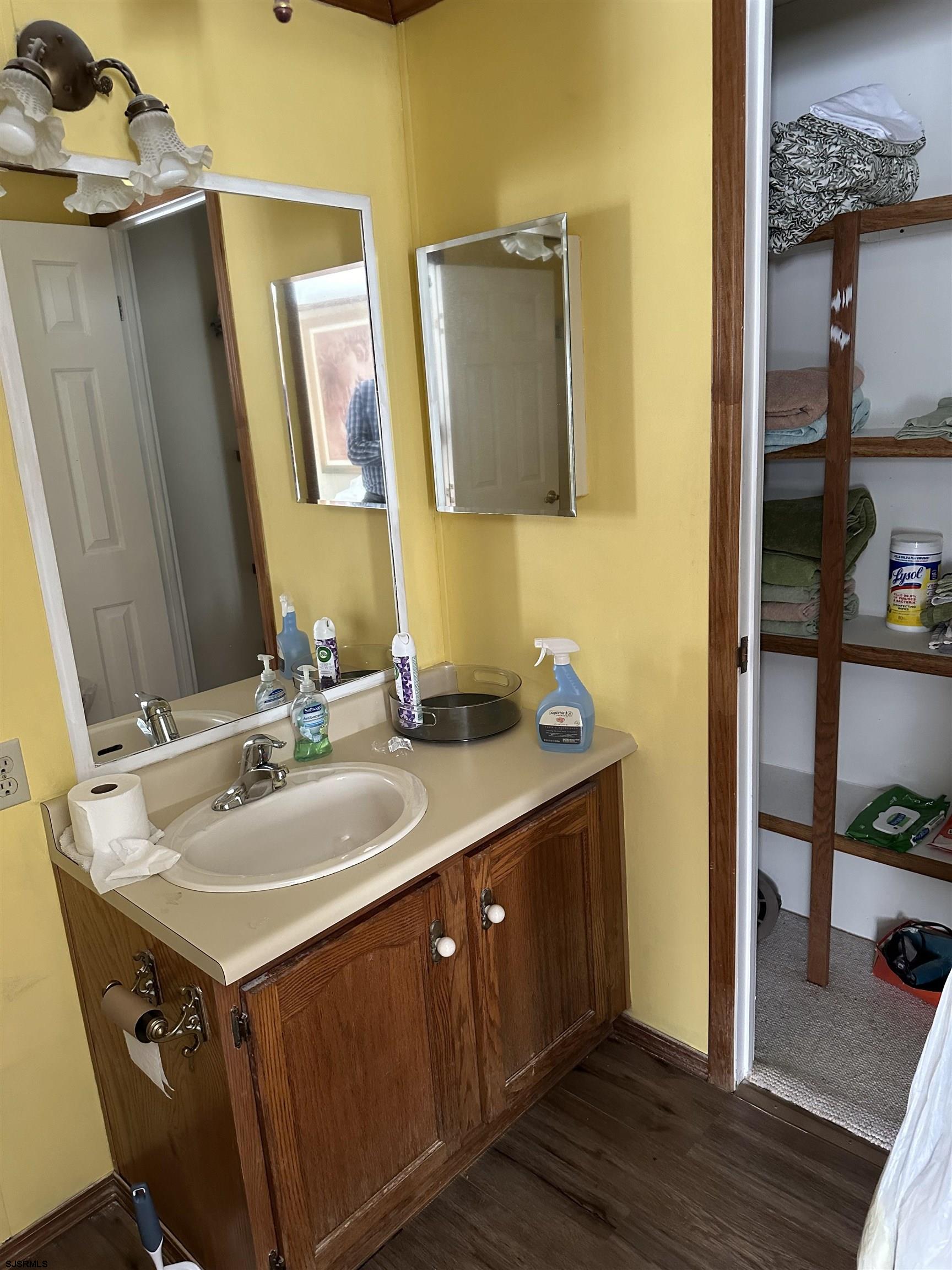 290 Mayflower Drive Buena, NJ 08310 - Photo 17 of 20 a bathroom with a sink and a mirror
