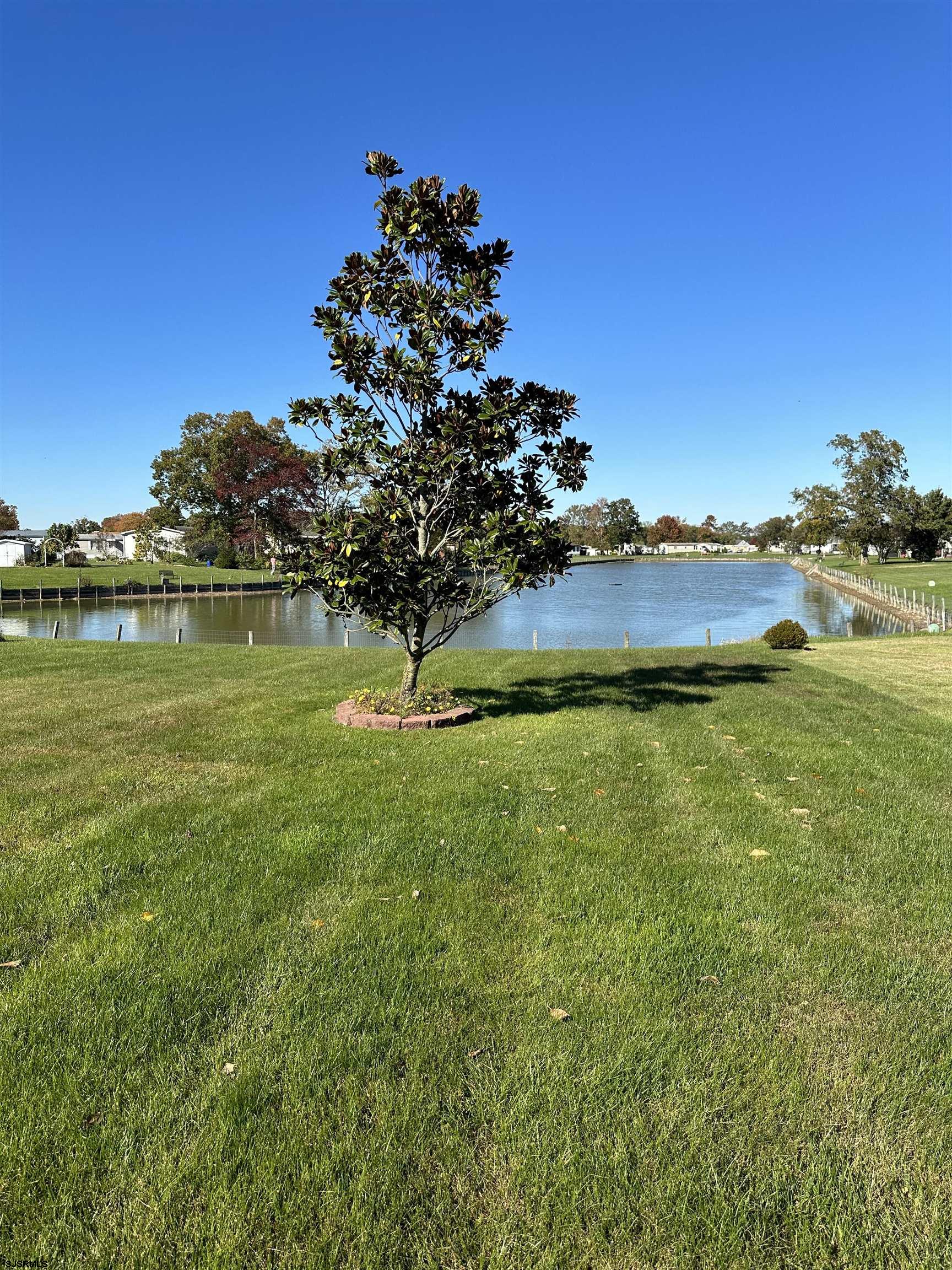 290 Mayflower Drive Buena, NJ 08310 - Photo 2 of 20 a view of a lake with houses in the background