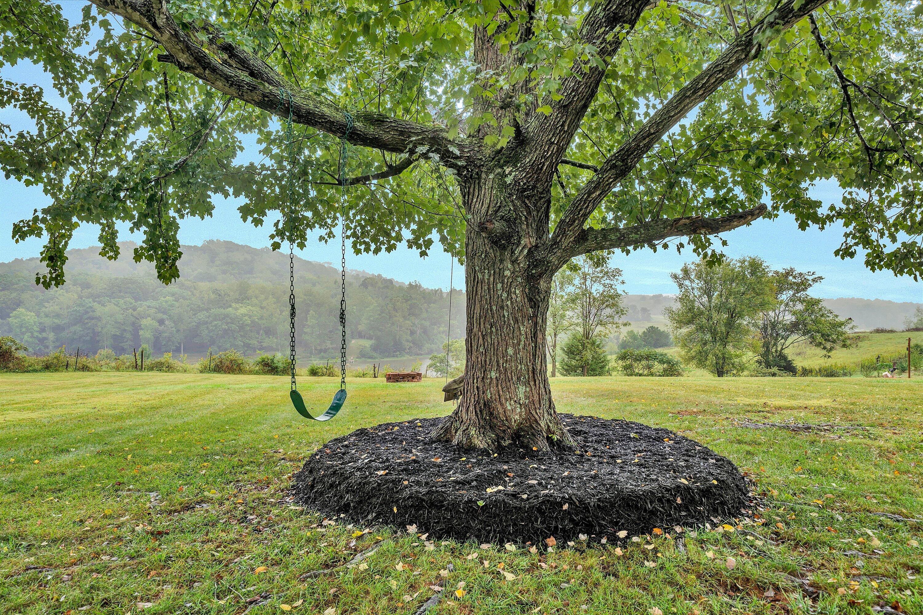 1420 Mill Iron Road Goodview, VA 24095 - Photo 37 of 48 37-DSC05460-97