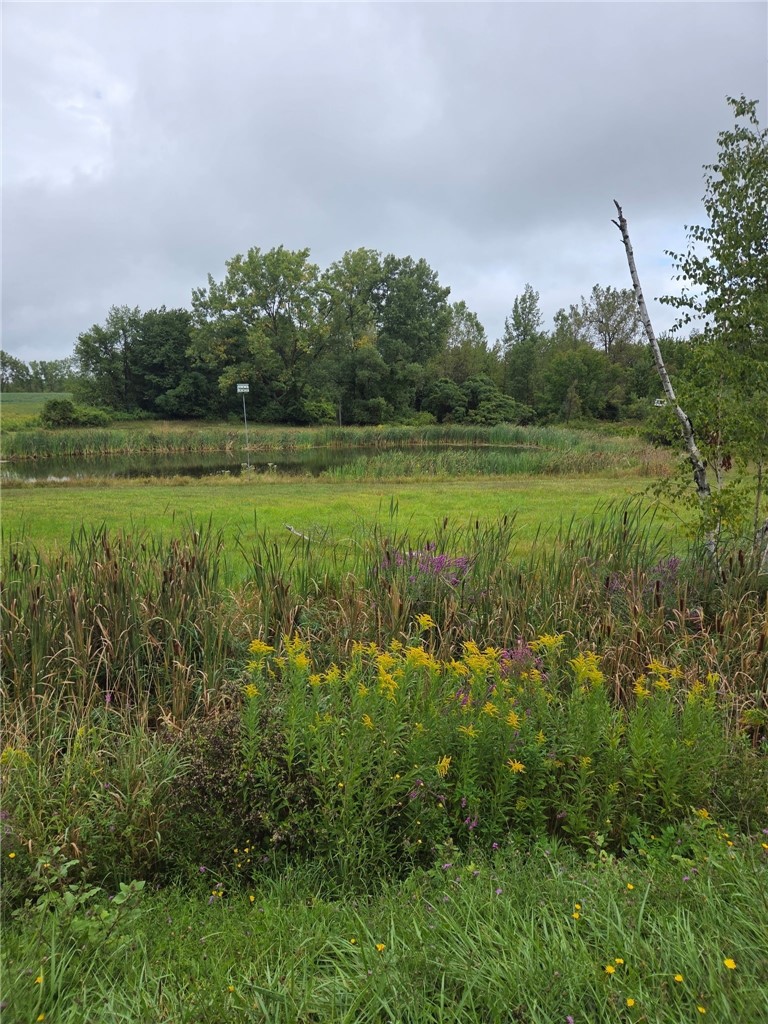 0 Richley Road Corfu, NY 14036 - Photo 1 of 6 Large Pond
