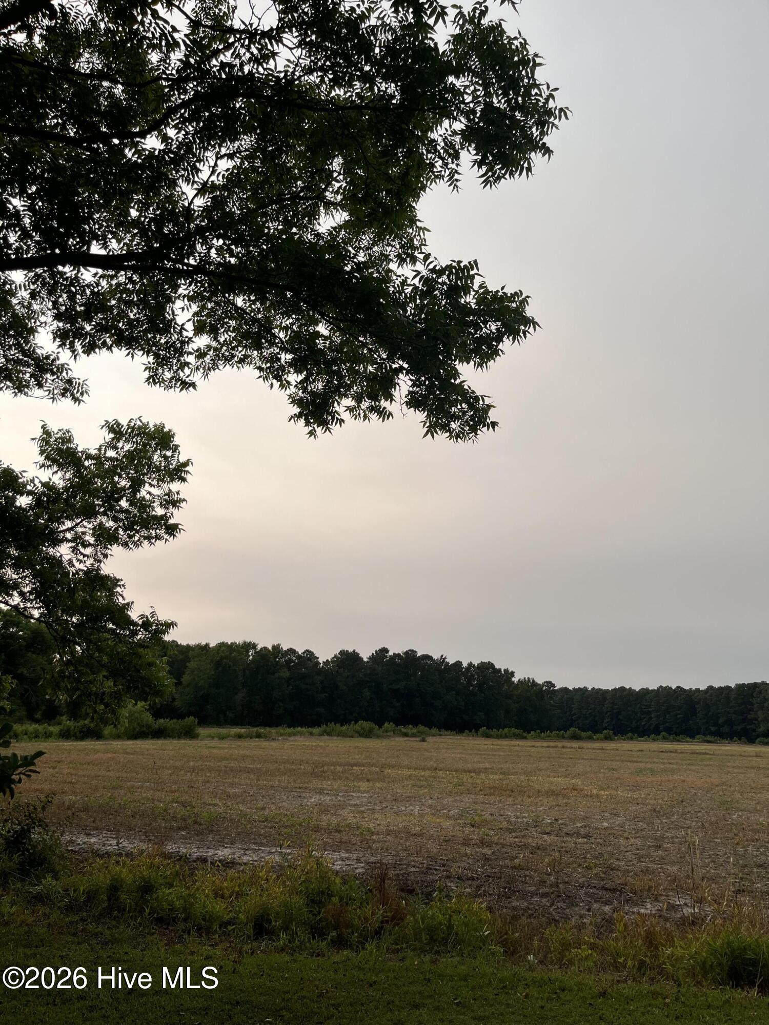 3091 Hudsons Crossroads Road Greenville, NC 27858 - Photo 9 of 22