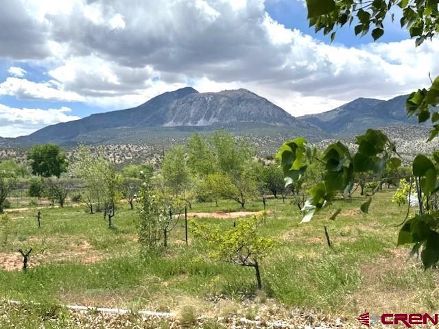 12427 Rd G Cortez, CO 81321 - Photo 30 of 35