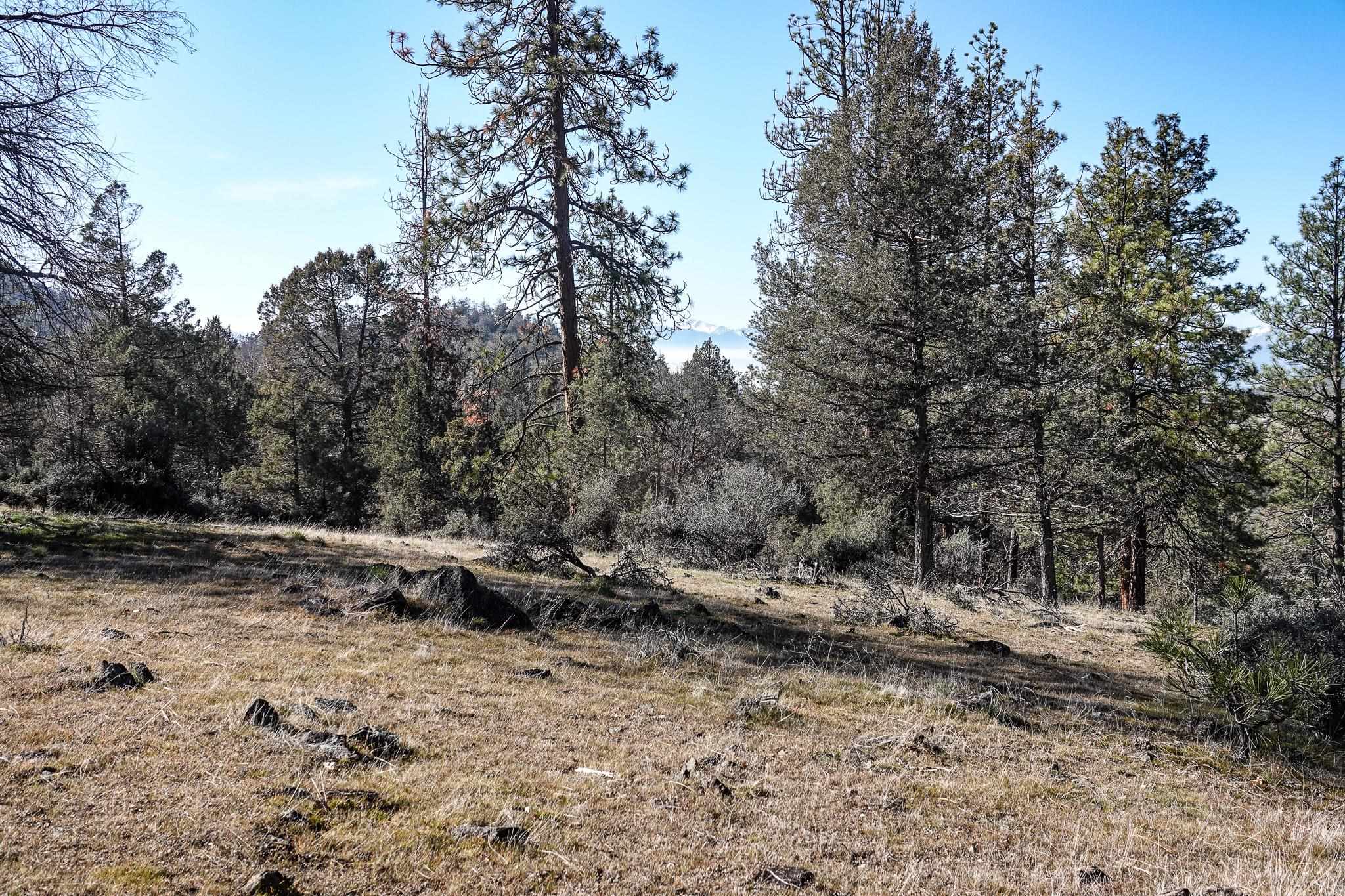 0 Scarface Road Fort Jones, CA 96032 - Photo 31 of 35 Gallery Image 31