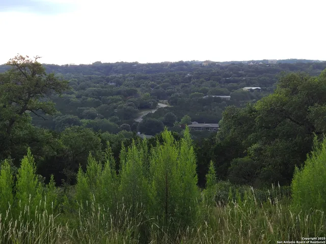 an aerial view of a houses with a lush green hillside