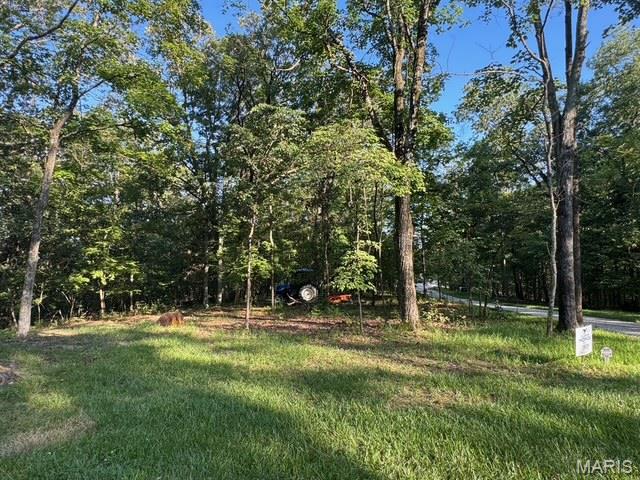 180 Steeple Point Drive Defiance, MO 63341 - Photo 3 of 4