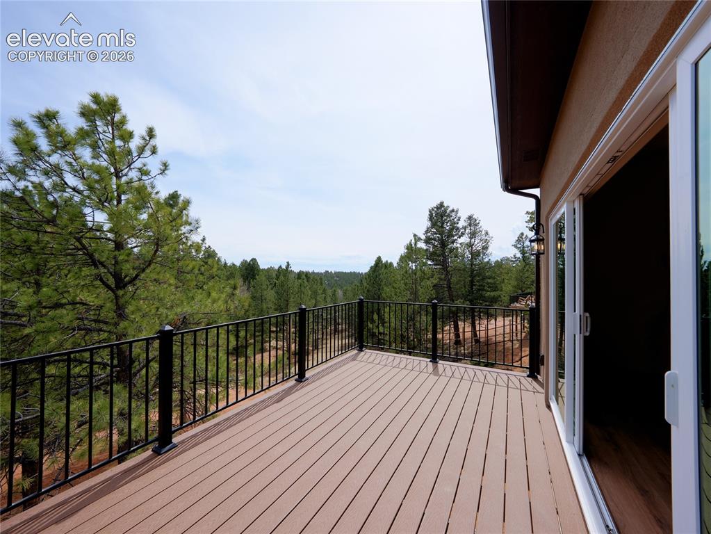 748 Pinewood Road Florissant, CO 80816 - Photo 13 of 46