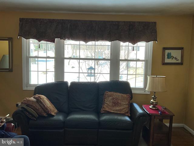 Bay windows in living room