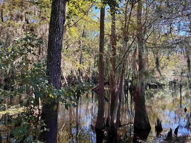 $228,000 | 2979 Dill Lake Court, Gresham, SC 29546