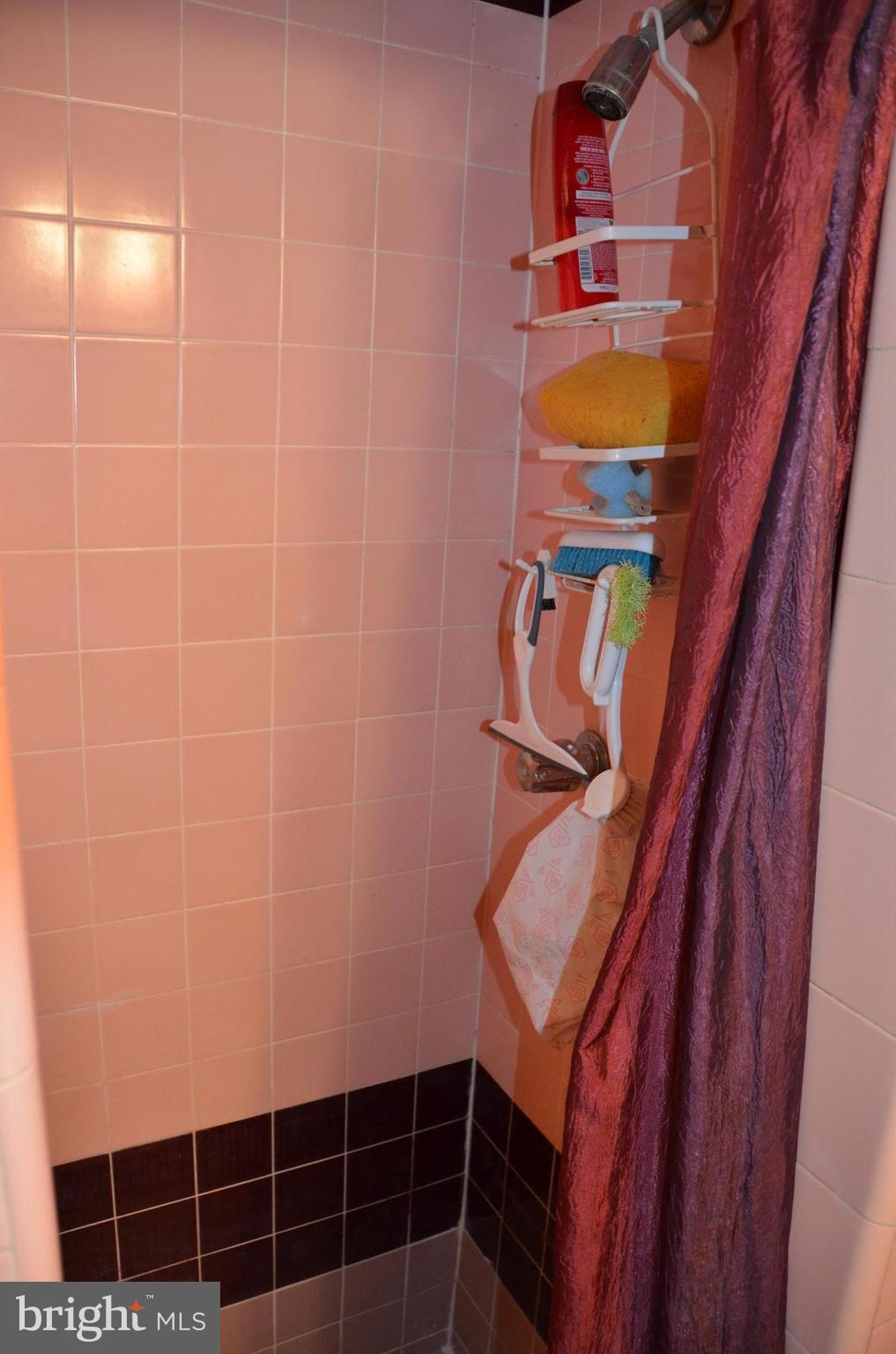 2810 Whitney Avenue Baltimore, MD 21215 - Photo 25 of 29 1st flr bath shower