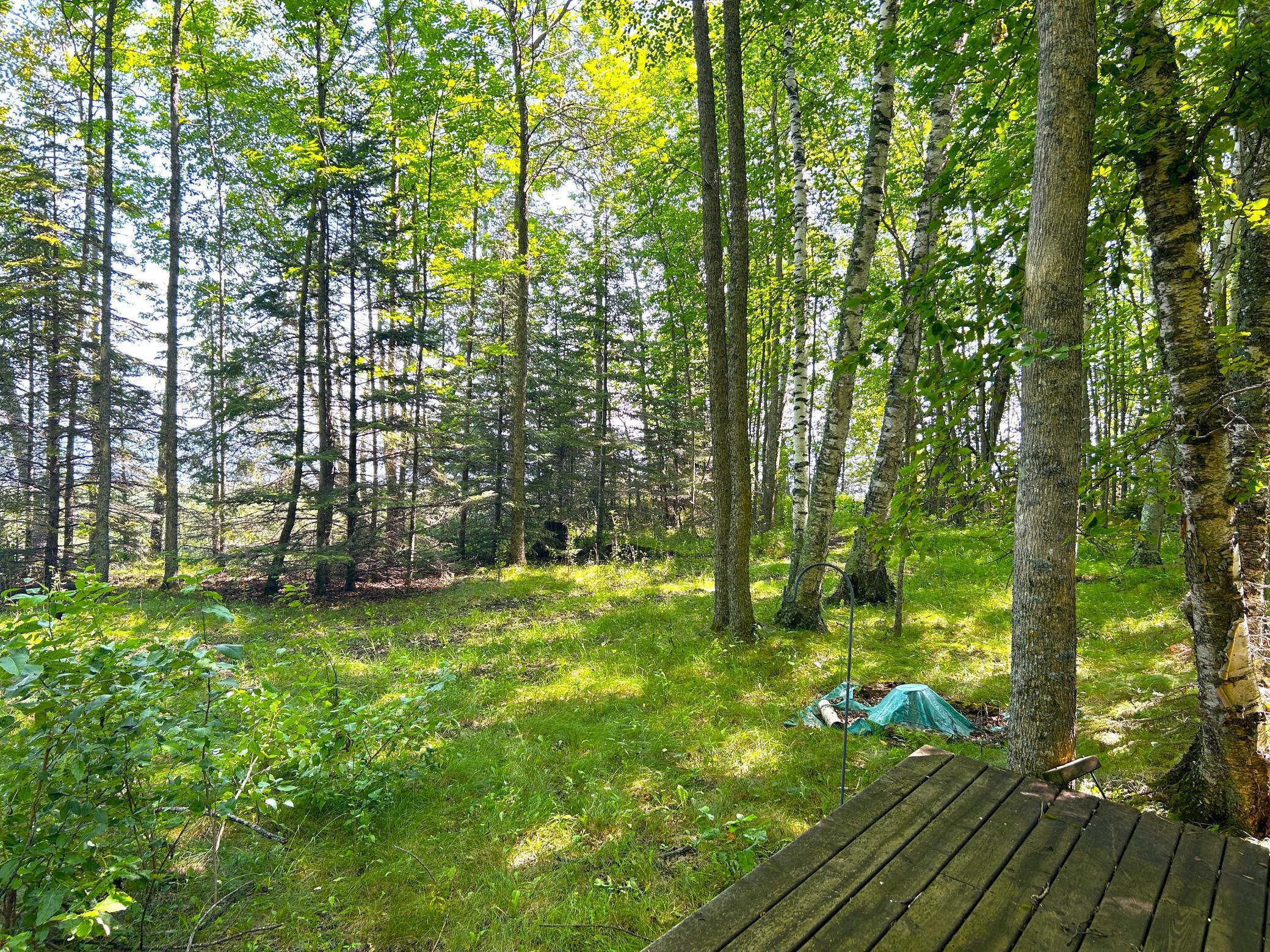 16779 Angle Shoreline Angle Inlet, MN 56711 - Photo 30 of 53