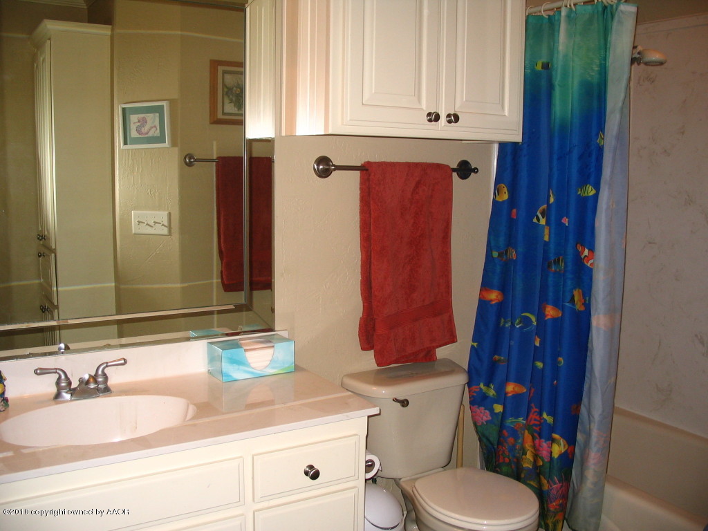 5301 Bushland Road Amarillo, TX 79119 - Photo 19 of 40 Hall bath