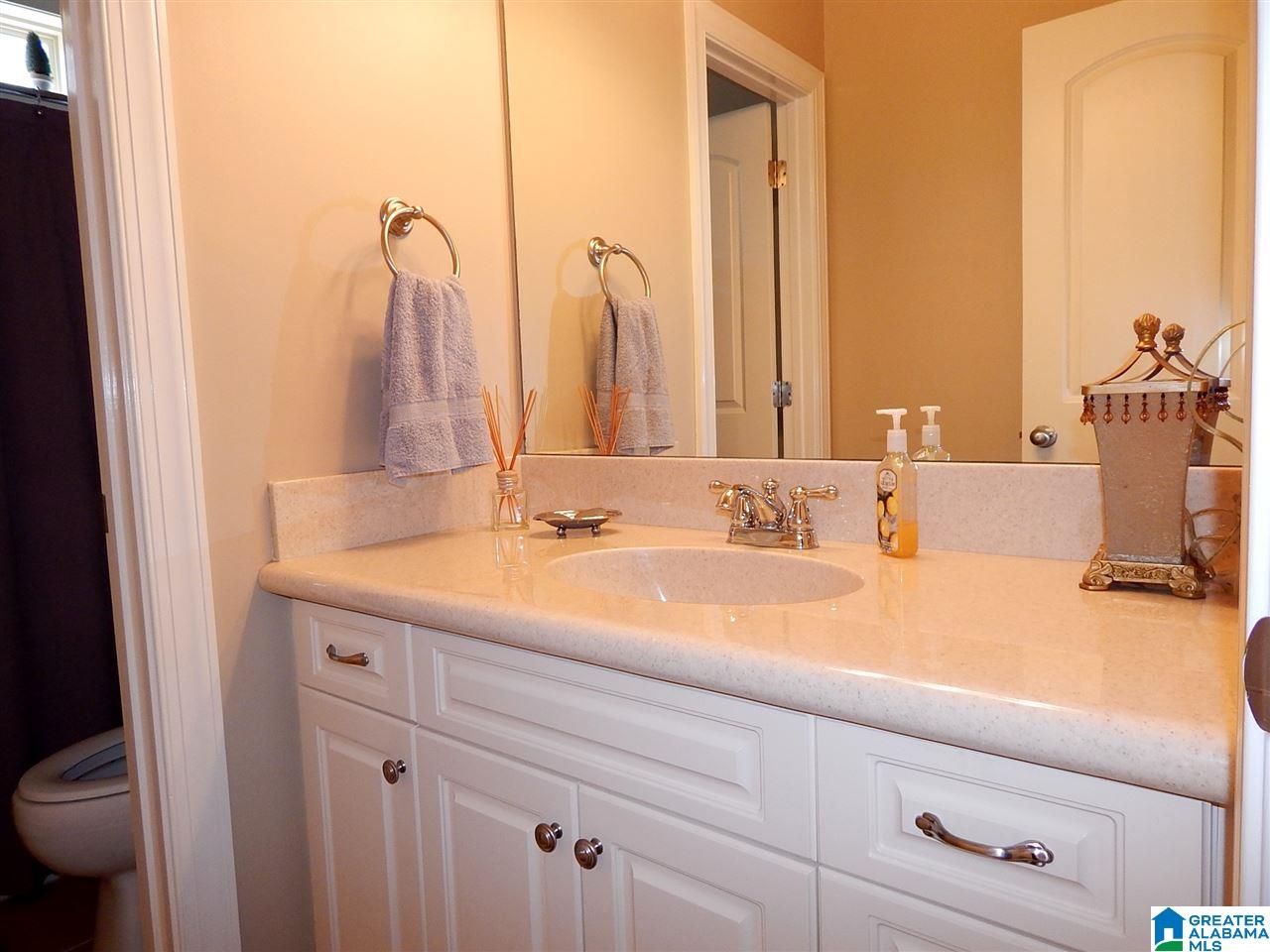 239 Strathaven Lane Pelham, AL 35124 - Photo 34 of 50