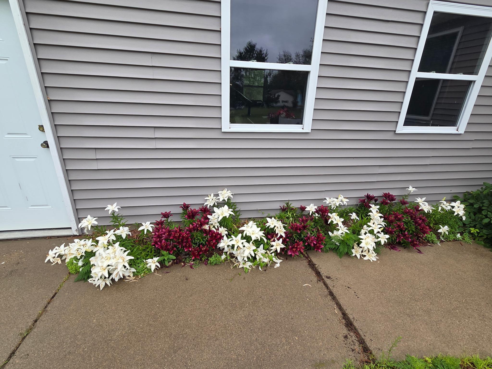 3790 Country Field Lane Southwest Bemidji, MN 56601 - Photo 25 of 49