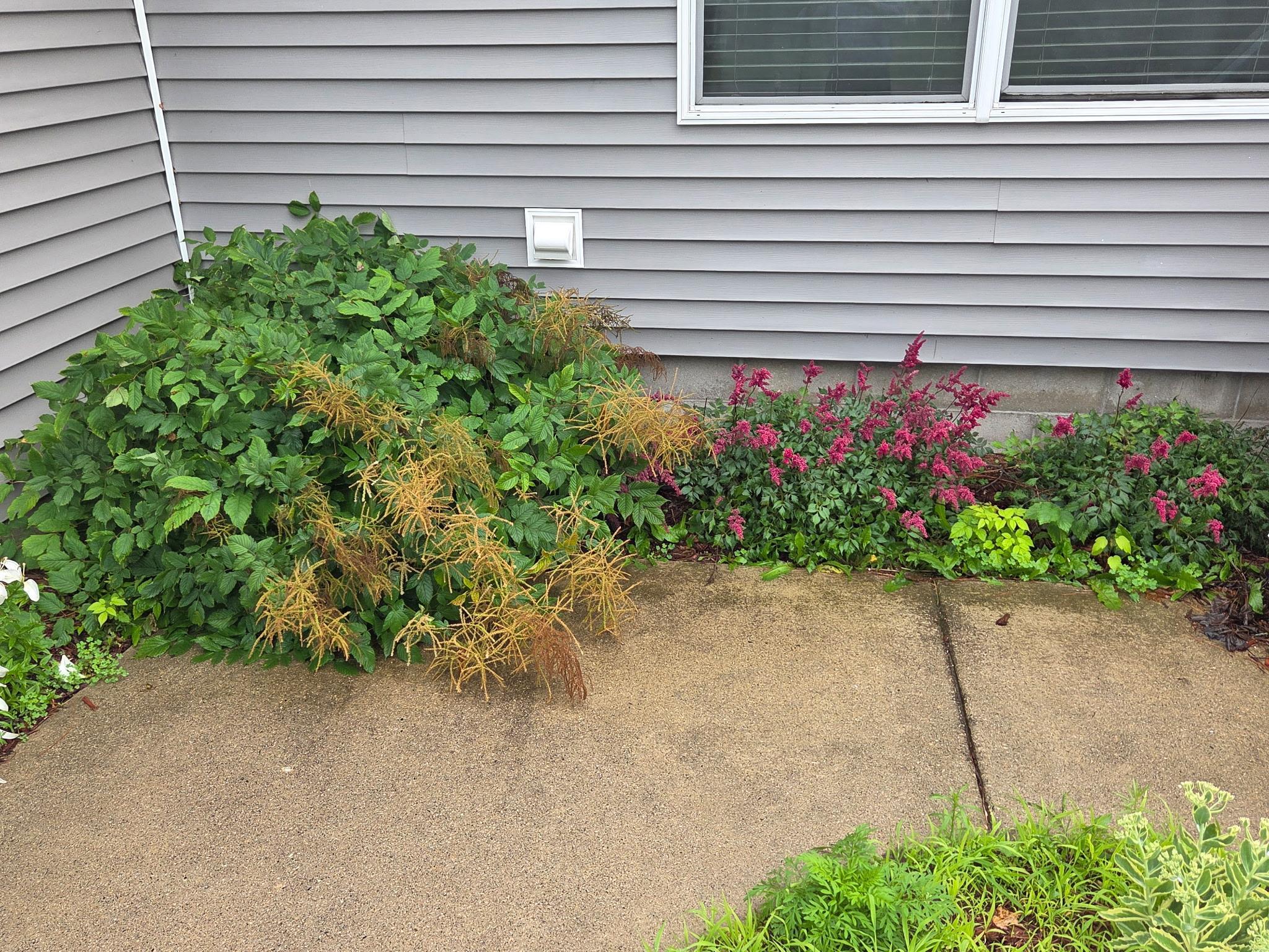 3790 Country Field Lane Southwest Bemidji, MN 56601 - Photo 26 of 49