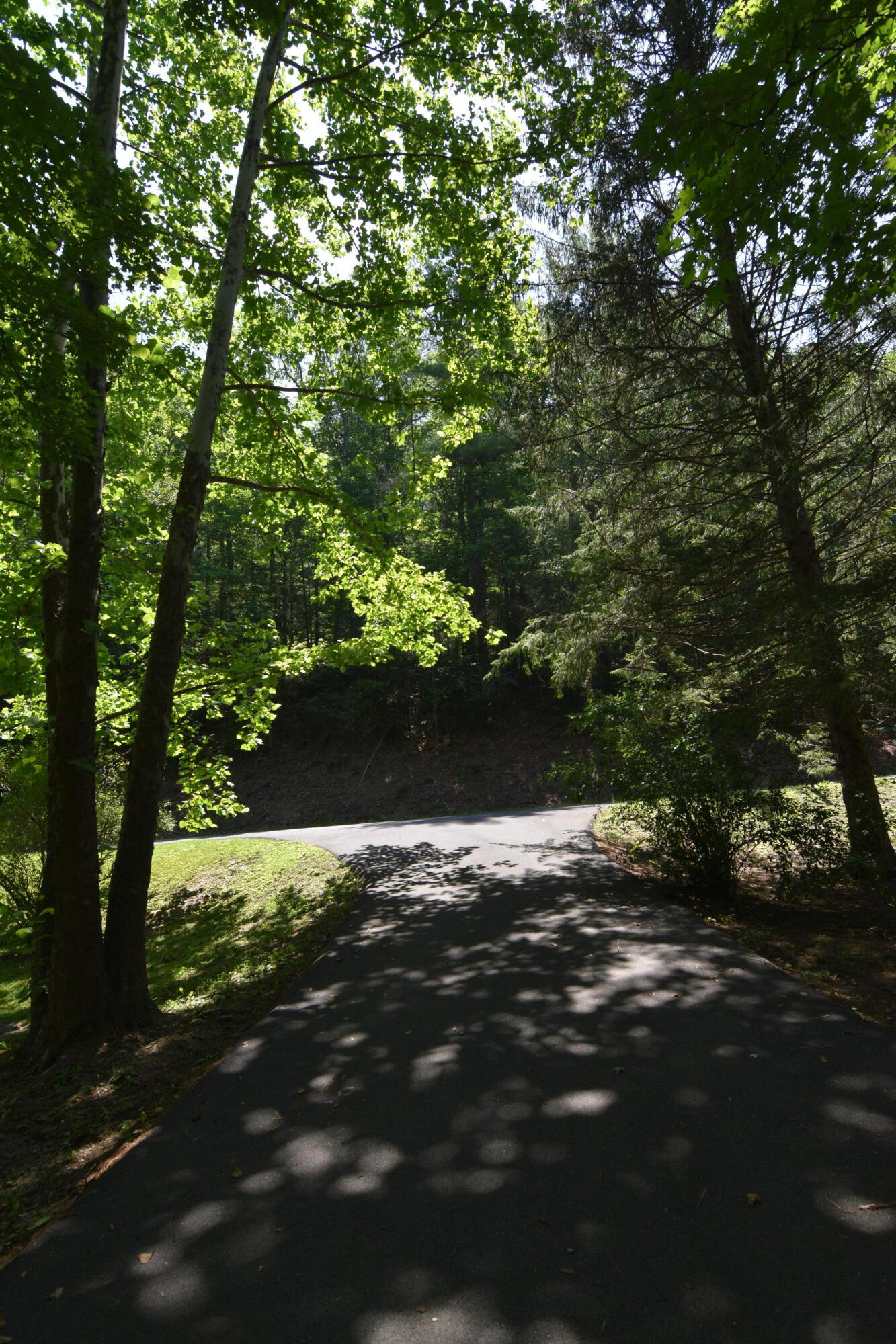 326 Rogers Road Covington, VA 24426 - Photo 4 of 30 Driveway