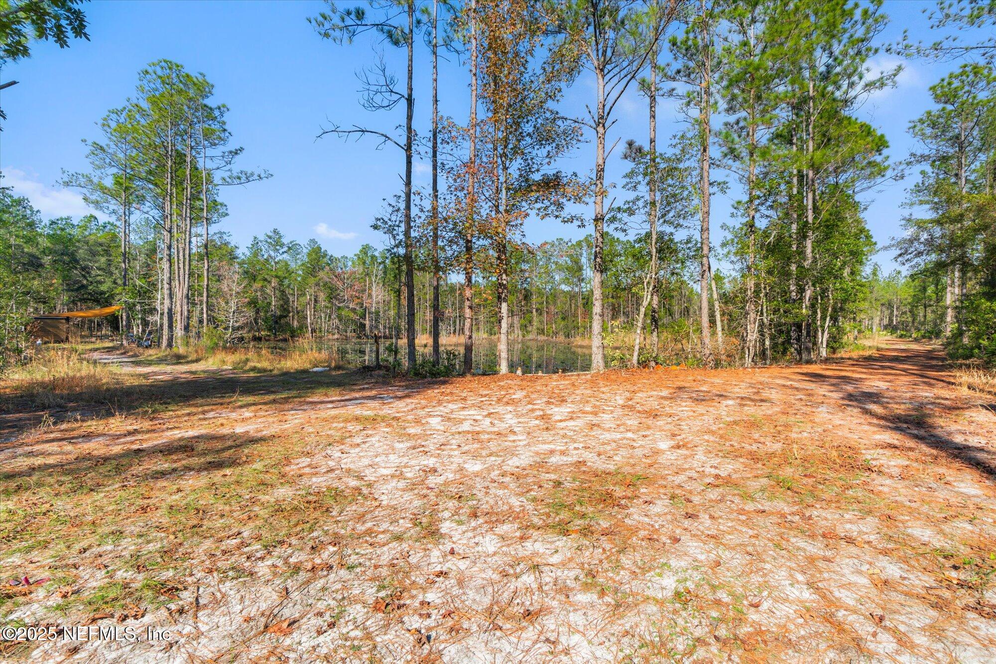 191 County Landfill Road Palatka, FL 32177 - Photo 22 of 37 a view of street with large trees