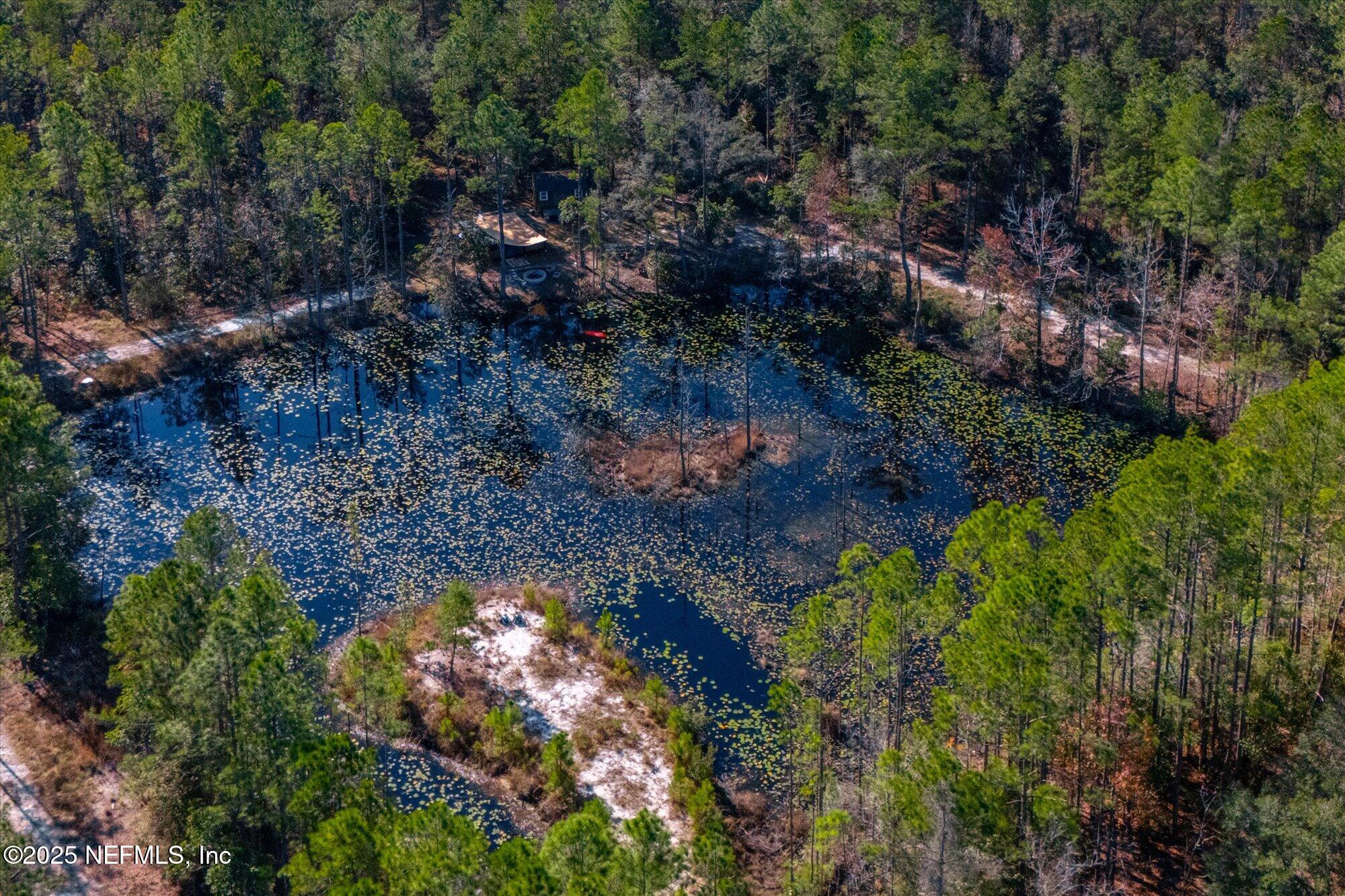 191 County Landfill Road Palatka, FL 32177 - Photo 27 of 37 a view of a plants in between yard