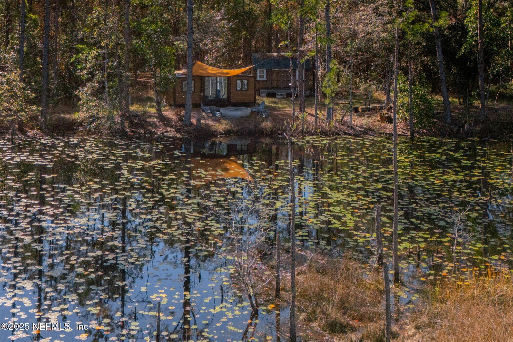 191 County Landfill Road Palatka, FL 32177 - Photo 29 of 37 a view of a back yard