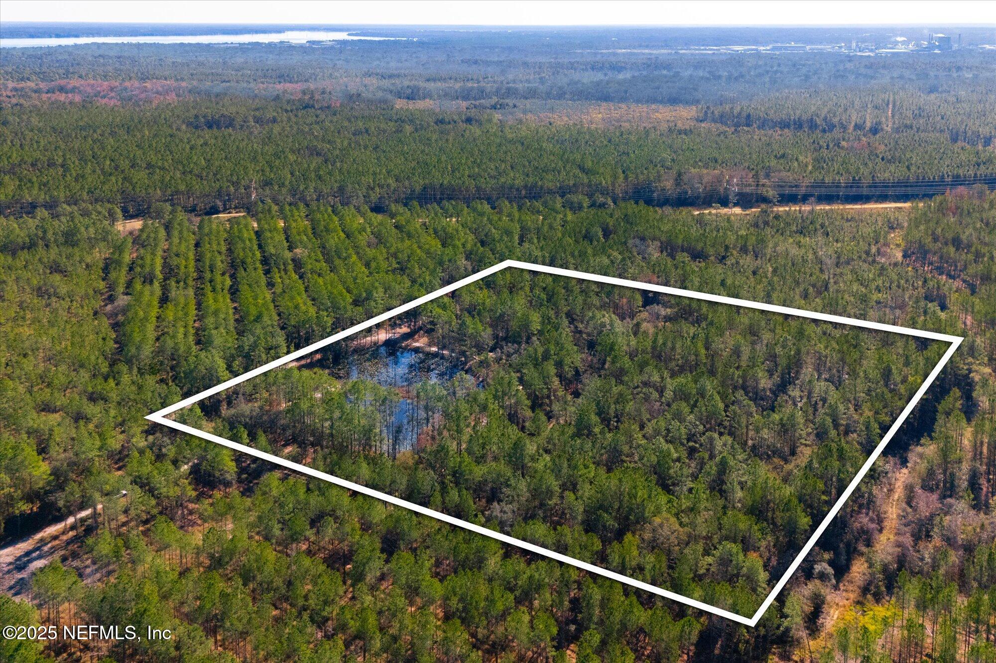 191 County Landfill Road Palatka, FL 32177 - Photo 31 of 37 a view of a forest from a balcony