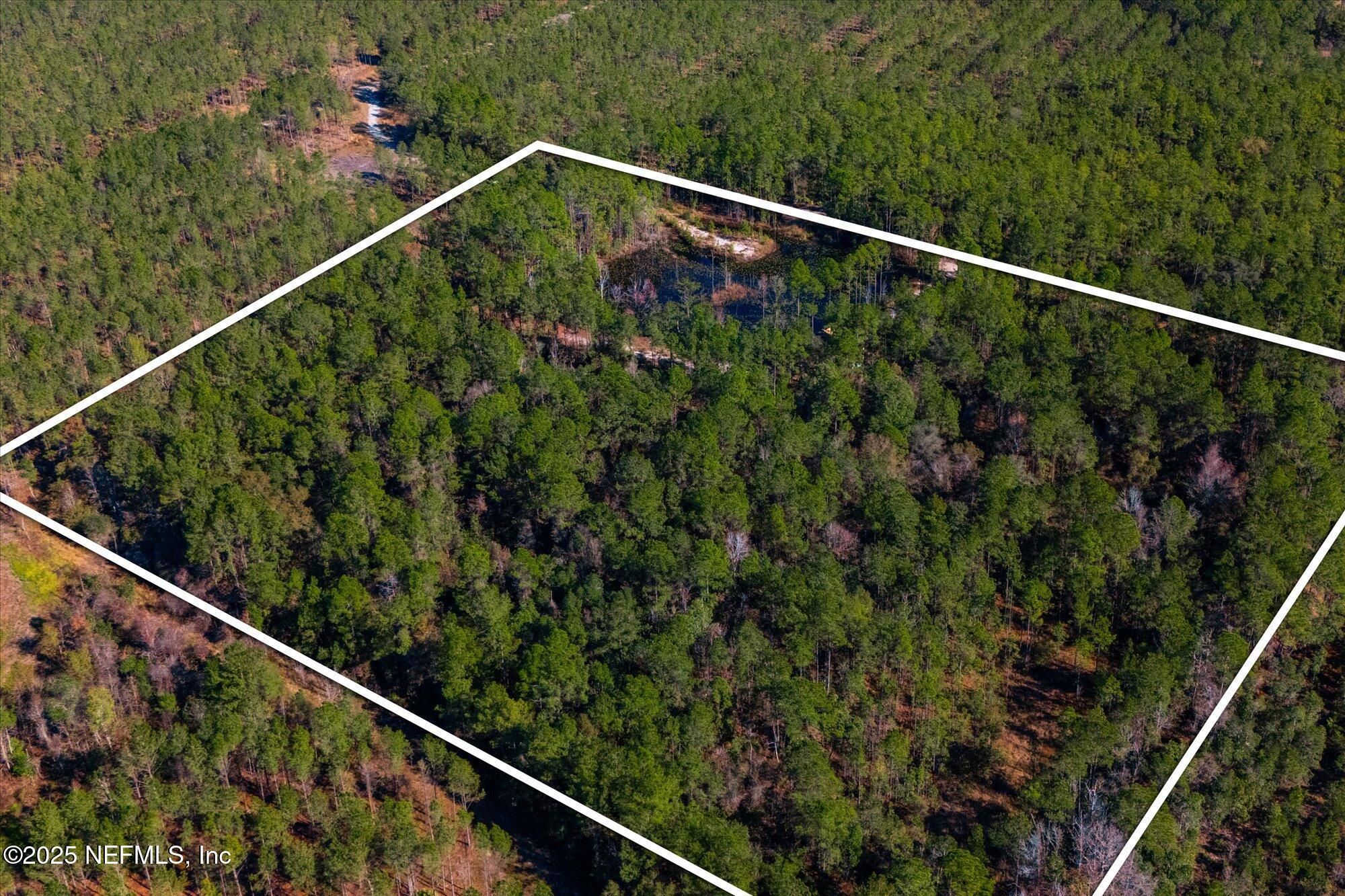 191 County Landfill Road Palatka, FL 32177 - Photo 35 of 37