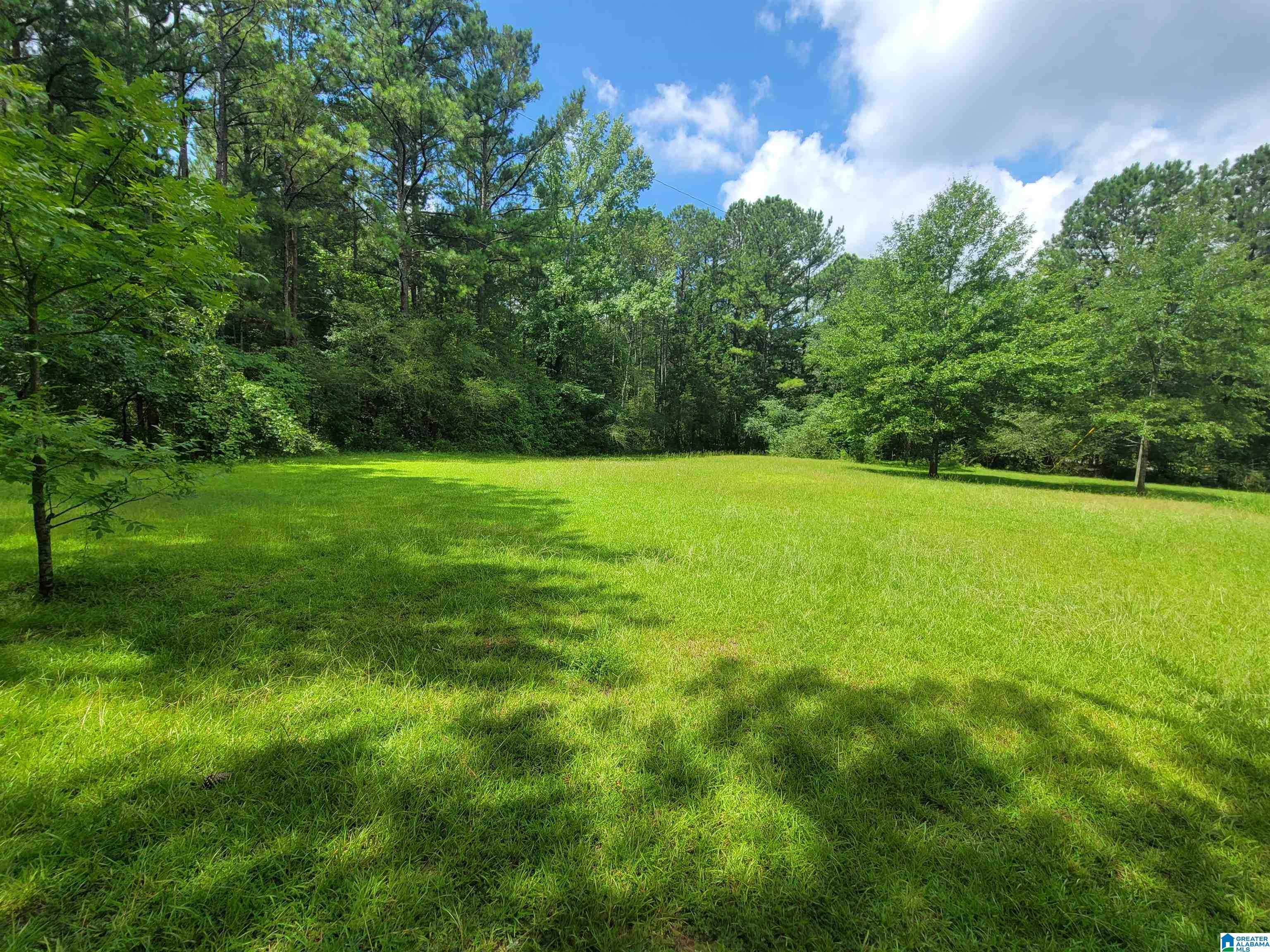 1425 Church Road Alpine, AL 35014 - Photo 4 of 16