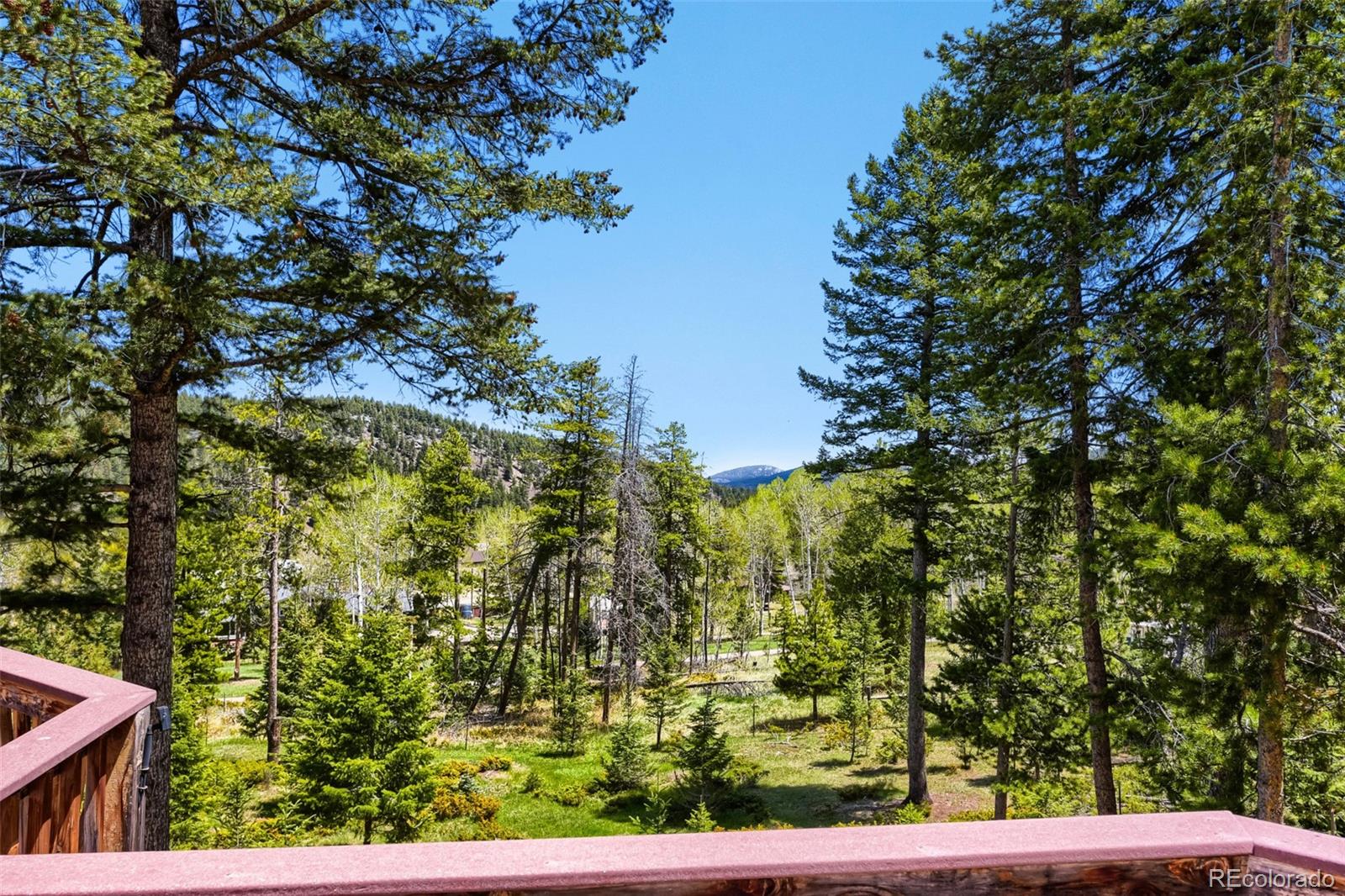 19653 Silver Ranch Road Conifer, CO 80433 - Photo 35 of 43