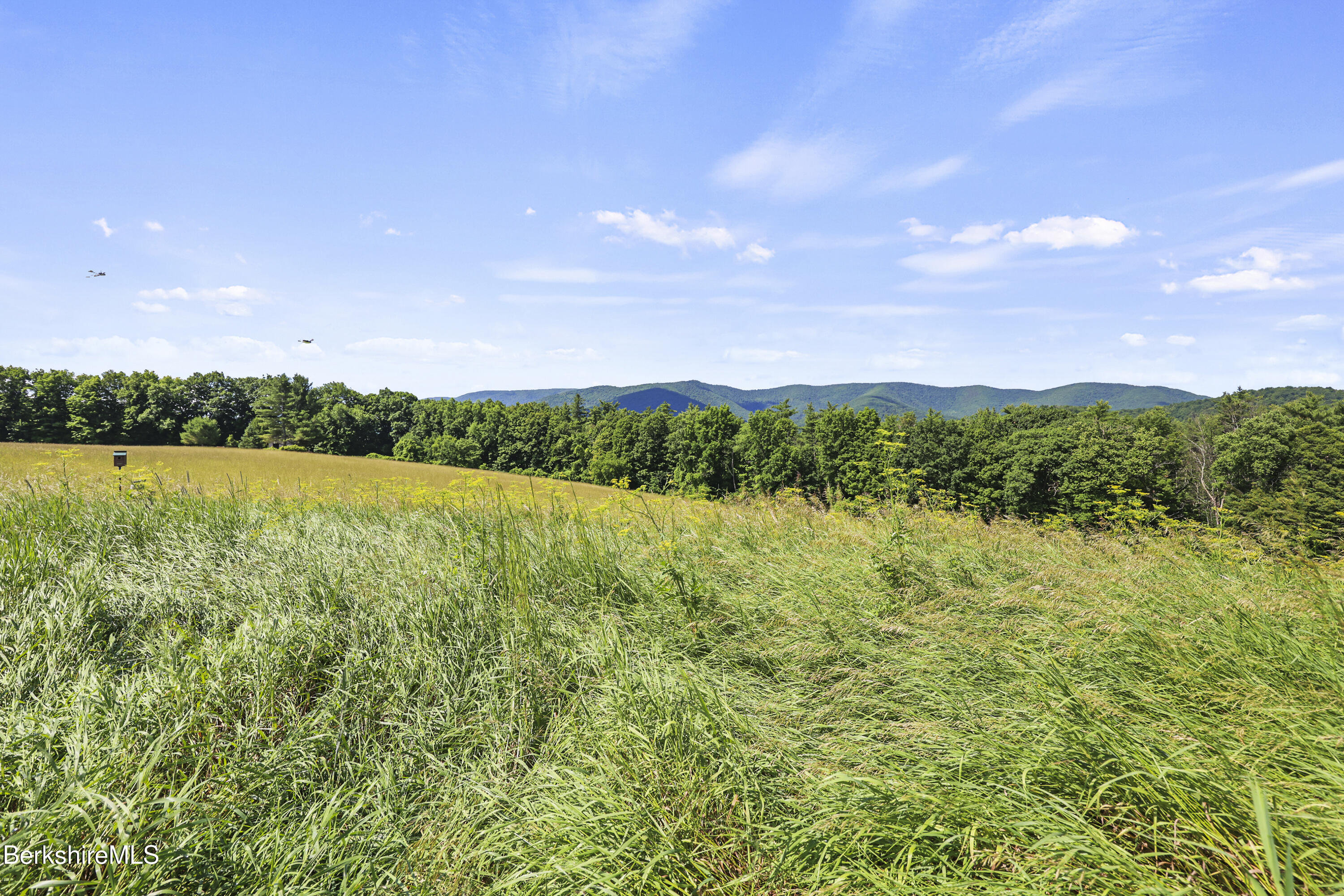1996 North Pownal Road Pownal, VT 05261 - Photo 64 of 85 Meadow