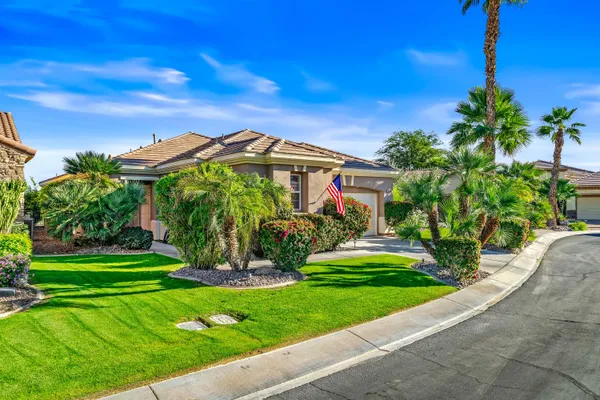 a view of a backyard with plants and swimming pool