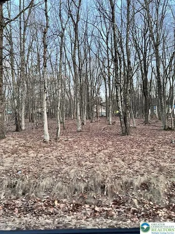 $20,000 | 436 Mountain Road, Unit 404, Albrightsville, PA 18210