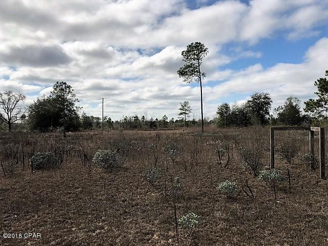 811 Cornwell Road Alford, FL 32420 - Photo 16 of 16
