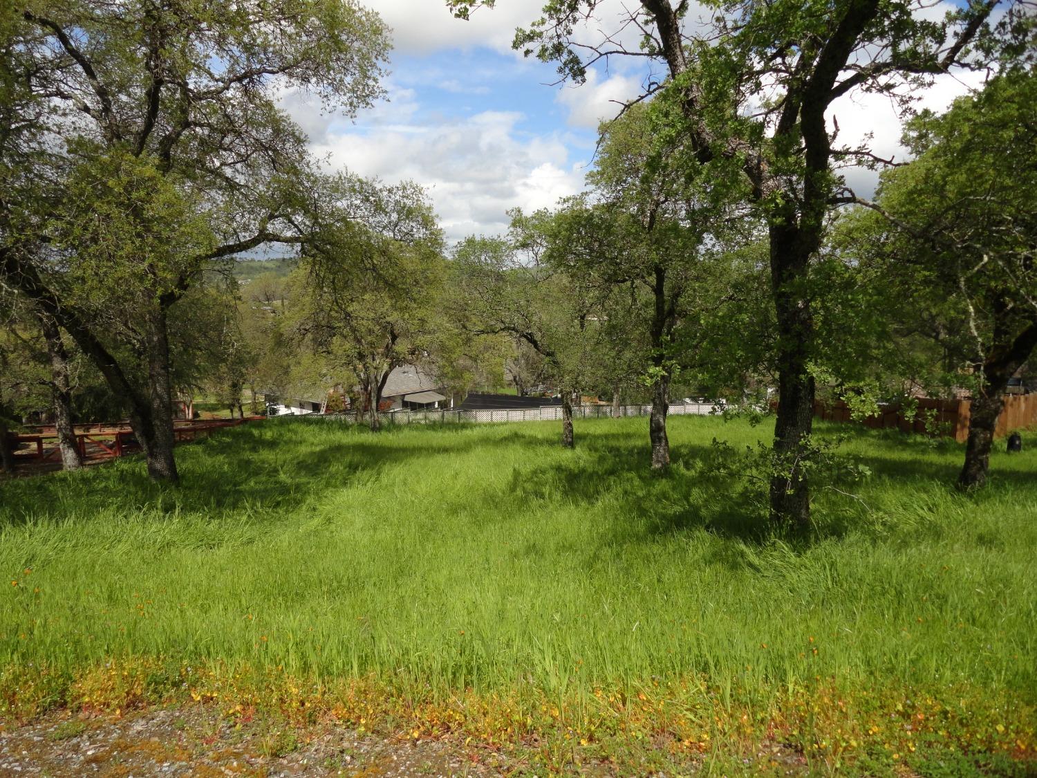a view of grassy field
