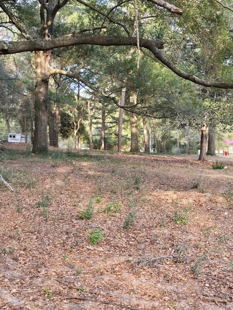 445 Deer Path Farms Road Ozark, AL 36360 - Photo 16 of 21