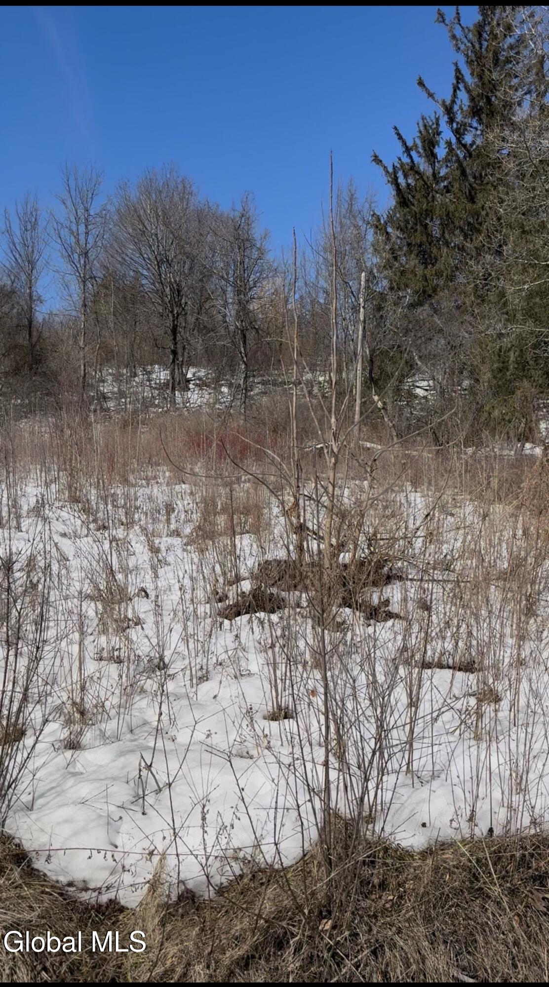 L-9 Hillside Road Pattersonville, NY 12137 - Photo 2 of 5 IMG_4069