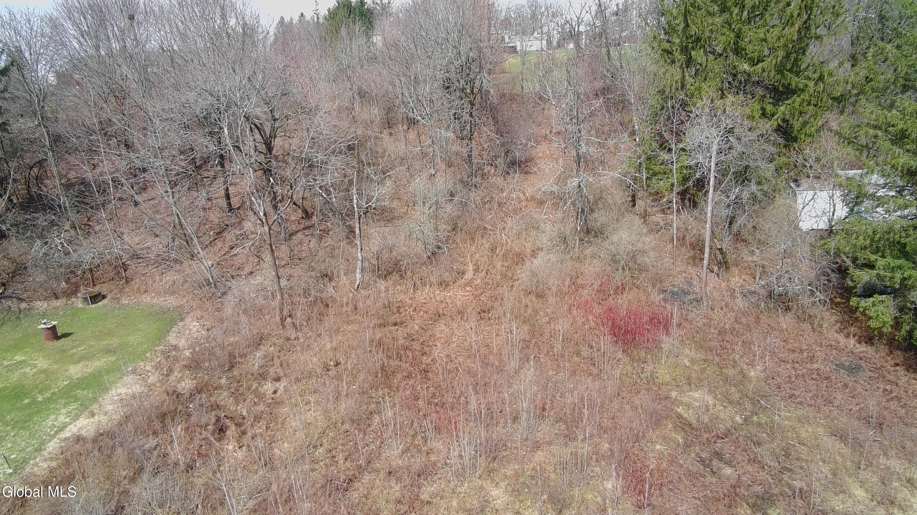 L-9 Hillside Road Pattersonville, NY 12137 - Photo 3 of 7 5392484_100DRONE_SING0062