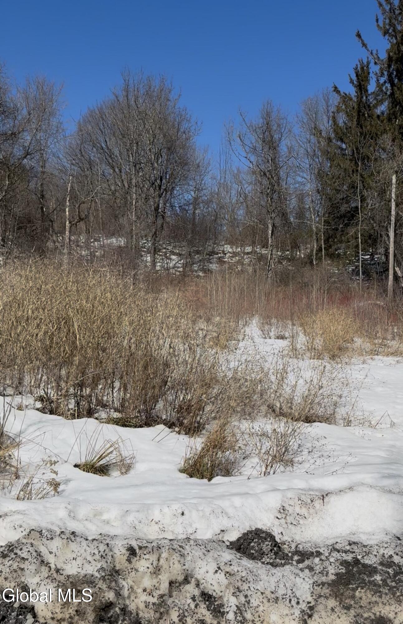 L-9 Hillside Road Pattersonville, NY 12137 - Photo 3 of 5 IMG_4072