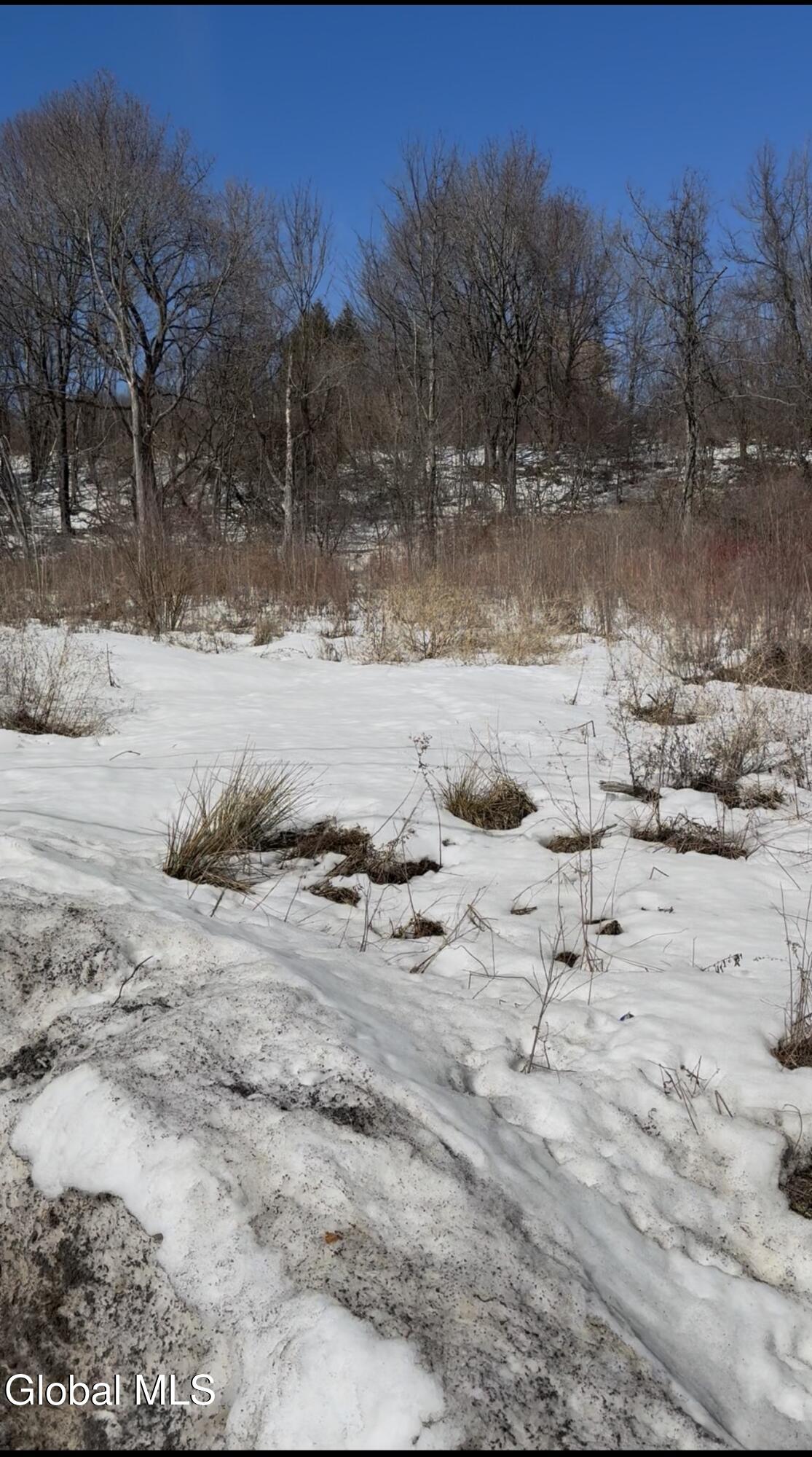 L-9 Hillside Road Pattersonville, NY 12137 - Photo 4 of 5 IMG_4071