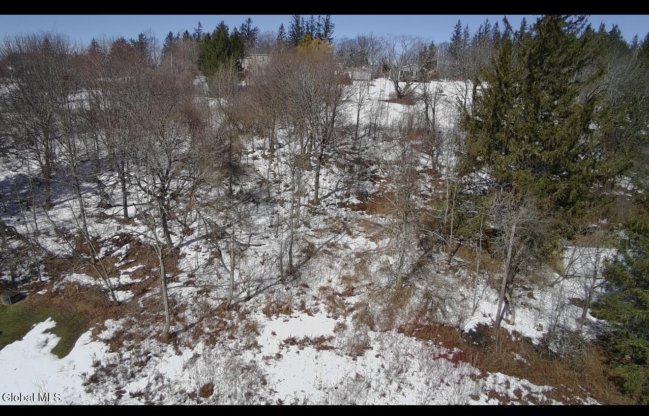 L-9 Hillside Road Pattersonville, NY 12137 - Photo 5 of 5 20260309_222950787_iOS