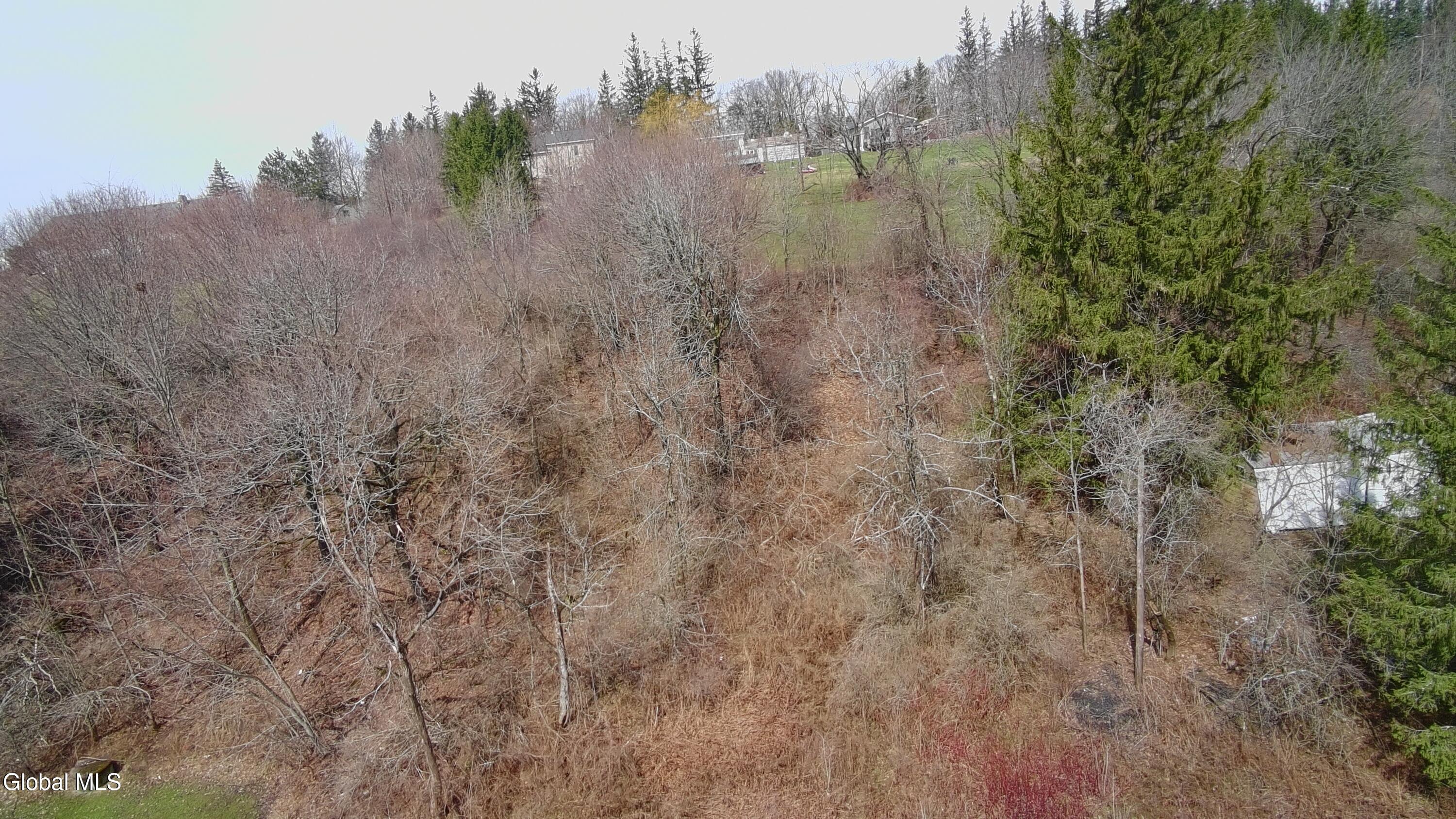 L-9 Hillside Road Pattersonville, NY 12137 - Photo 7 of 7 5133050_100DRONE_SING0066