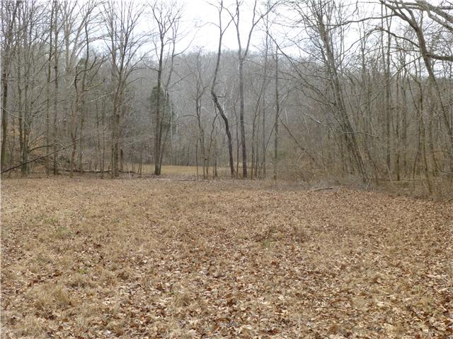 7100 Pinewood Road Nunnelly, TN 37137 - Photo 11 of 15 Gallery Image 11