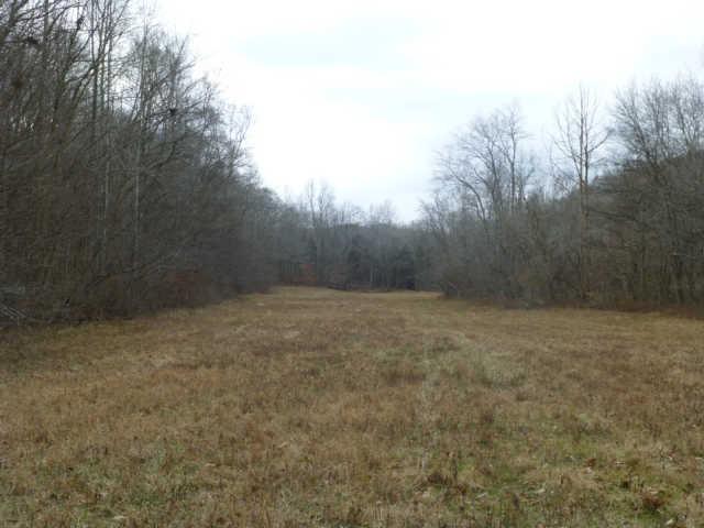 7100 Pinewood Road Nunnelly, TN 37137 - Photo 12 of 15 Gallery Image 12