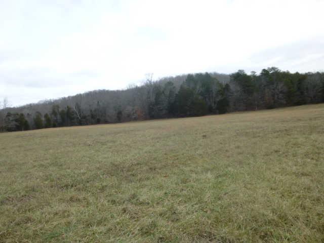 7100 Pinewood Road Nunnelly, TN 37137 - Photo 15 of 15 Gallery Image 15