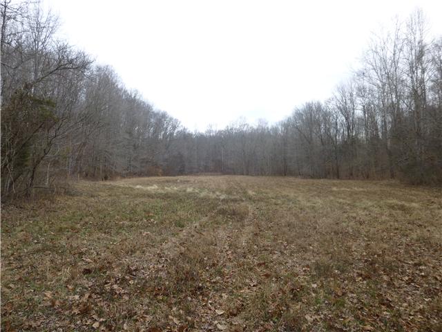 7100 Pinewood Road Nunnelly, TN 37137 - Photo 8 of 15 Gallery Image 8