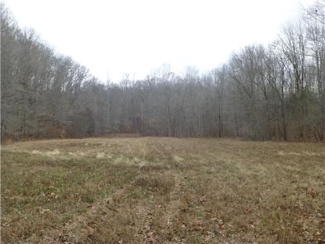 7100 Pinewood Road Nunnelly, TN 37137 - Photo 9 of 15 Gallery Image 9