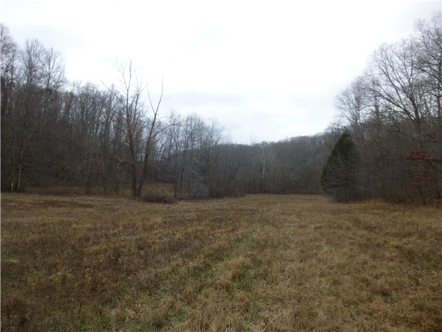 7100 Pinewood Road Nunnelly, TN 37137 - Photo 10 of 15 Gallery Image 10